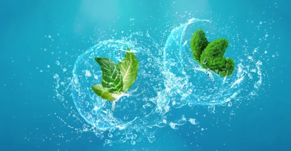 Diverse environmental credit solutions for greenhouse gases, nutrient reduction, biohydrogen and sustainability projects