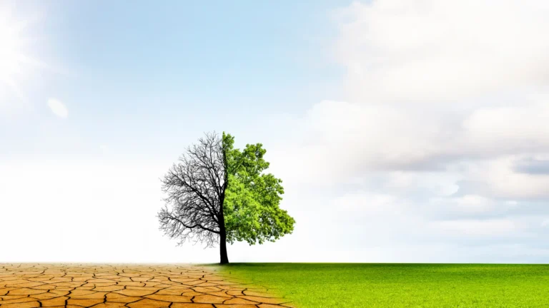 Nature-Based Solutions for Carbon and Nutrient Credits