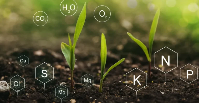 Nitrogen Credits