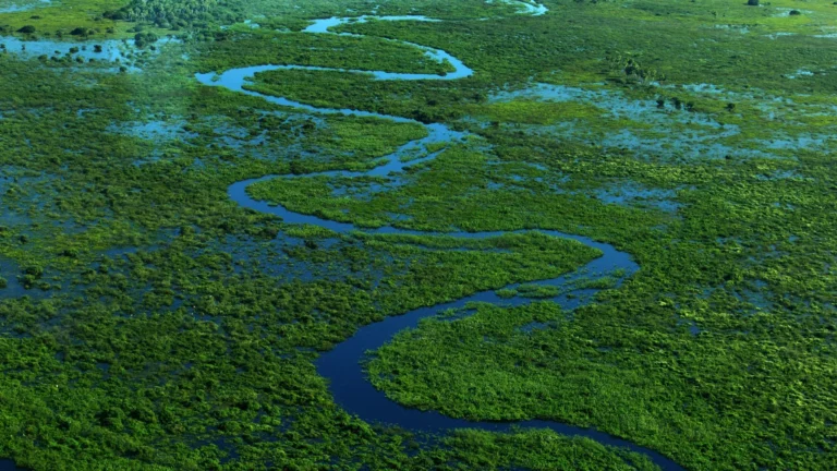 Peatland and Coastal Wetland Restoration