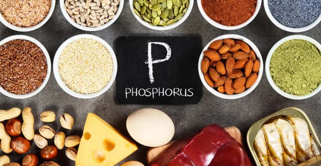 Phosphorus credit solutions for nutrient pollution reduction, wastewater treatment and phosphorus recovery projects
